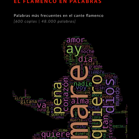 El Flamenco en palabras